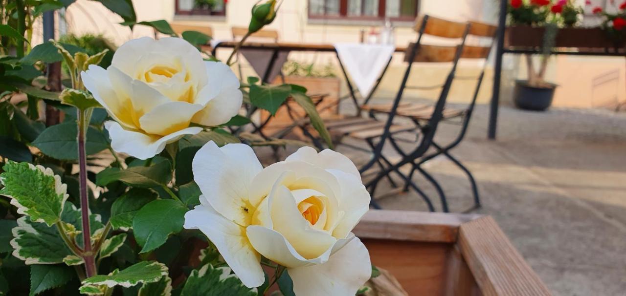 Hotel "Pension Marlis" Garni Reichenberg  Εξωτερικό φωτογραφία