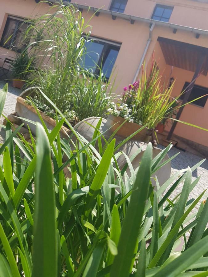 Hotel "Pension Marlis" Garni Reichenberg  Εξωτερικό φωτογραφία